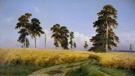 rozh-shishkin