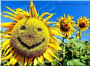 Stihi-pro-solntse-5-6